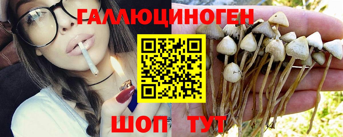 Галлюциногенные грибы Cubensis  Вход с VPN  Бузулук 