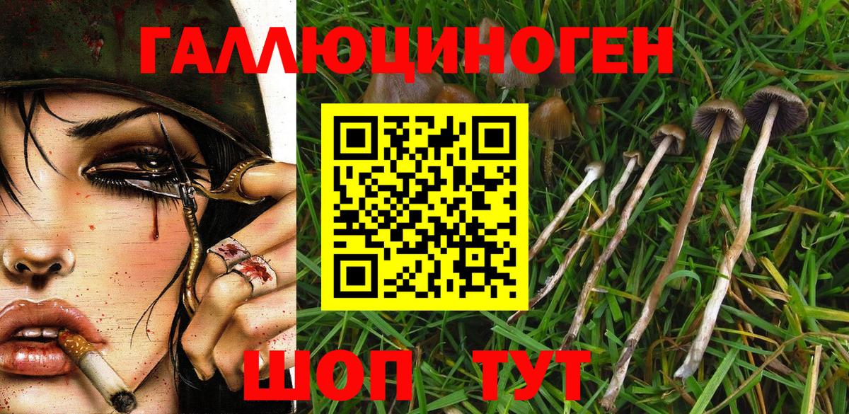 Псилоцибиновые грибы GOLDEN TEACHER Бузулук